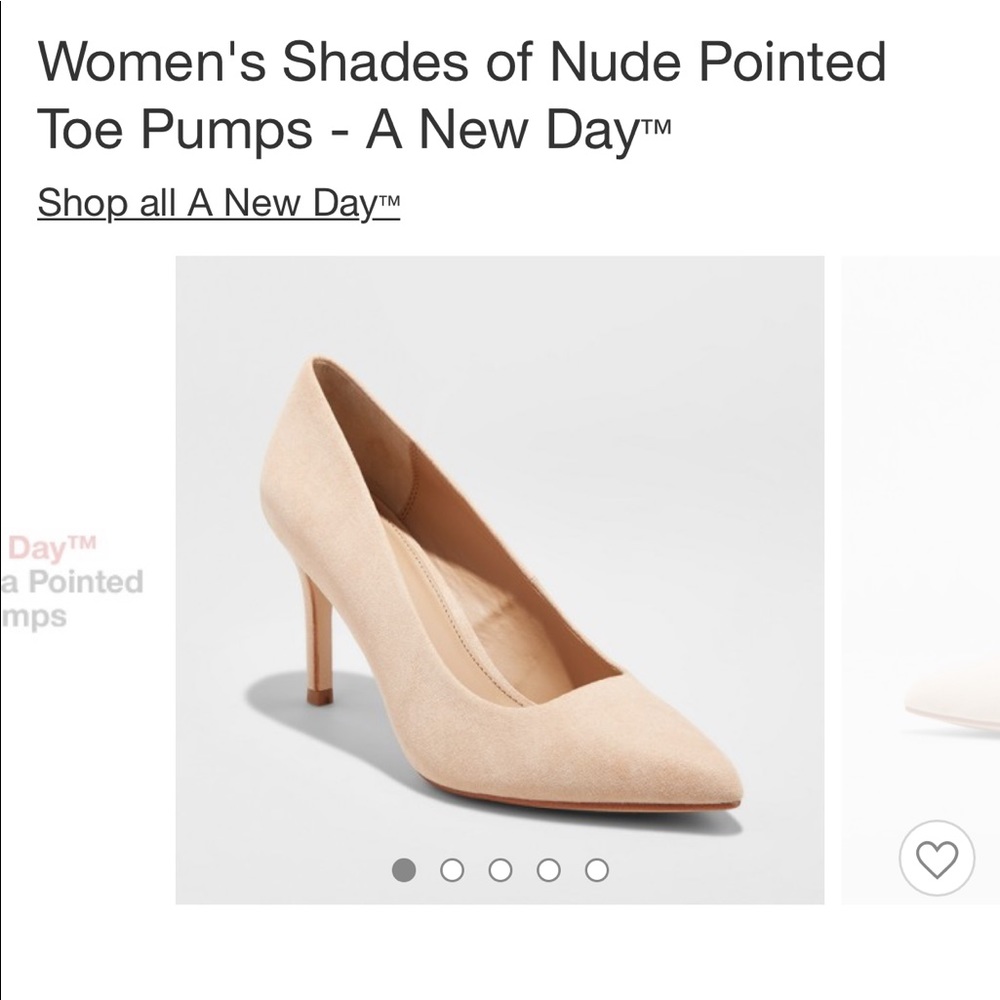Shades of Nude Pointed Toe Pumps - ANewDay